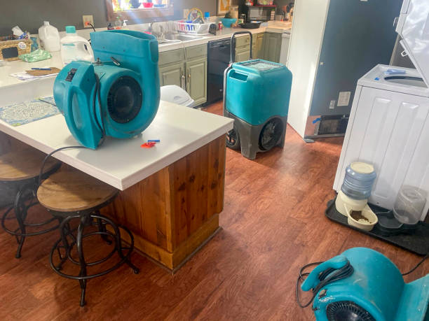 Trusted South Berwick, ME Water damage restoration Experts