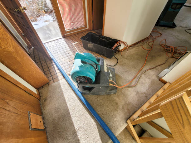 South Berwick, ME Water damage restoration Pros