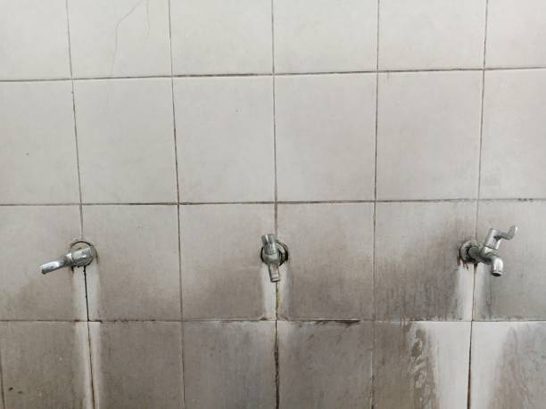 Best Water damage restoration near me  in South Berwick, ME